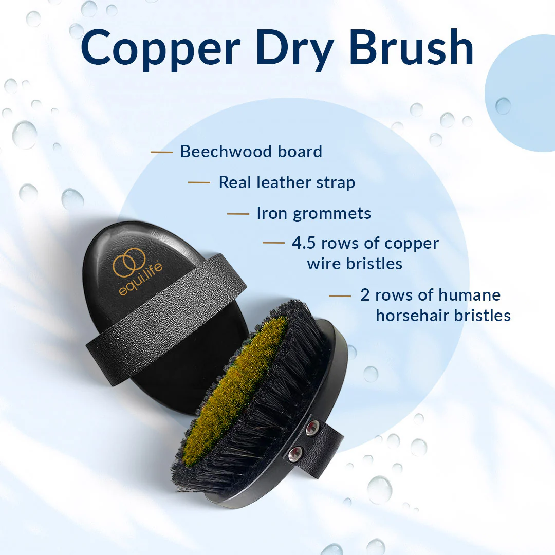 Copper Dry Brush - Image 4