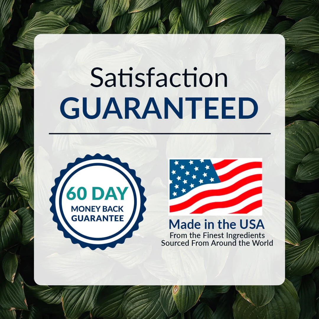Daily Foundational Protocol (Capsules) - Level 3 - Image 9