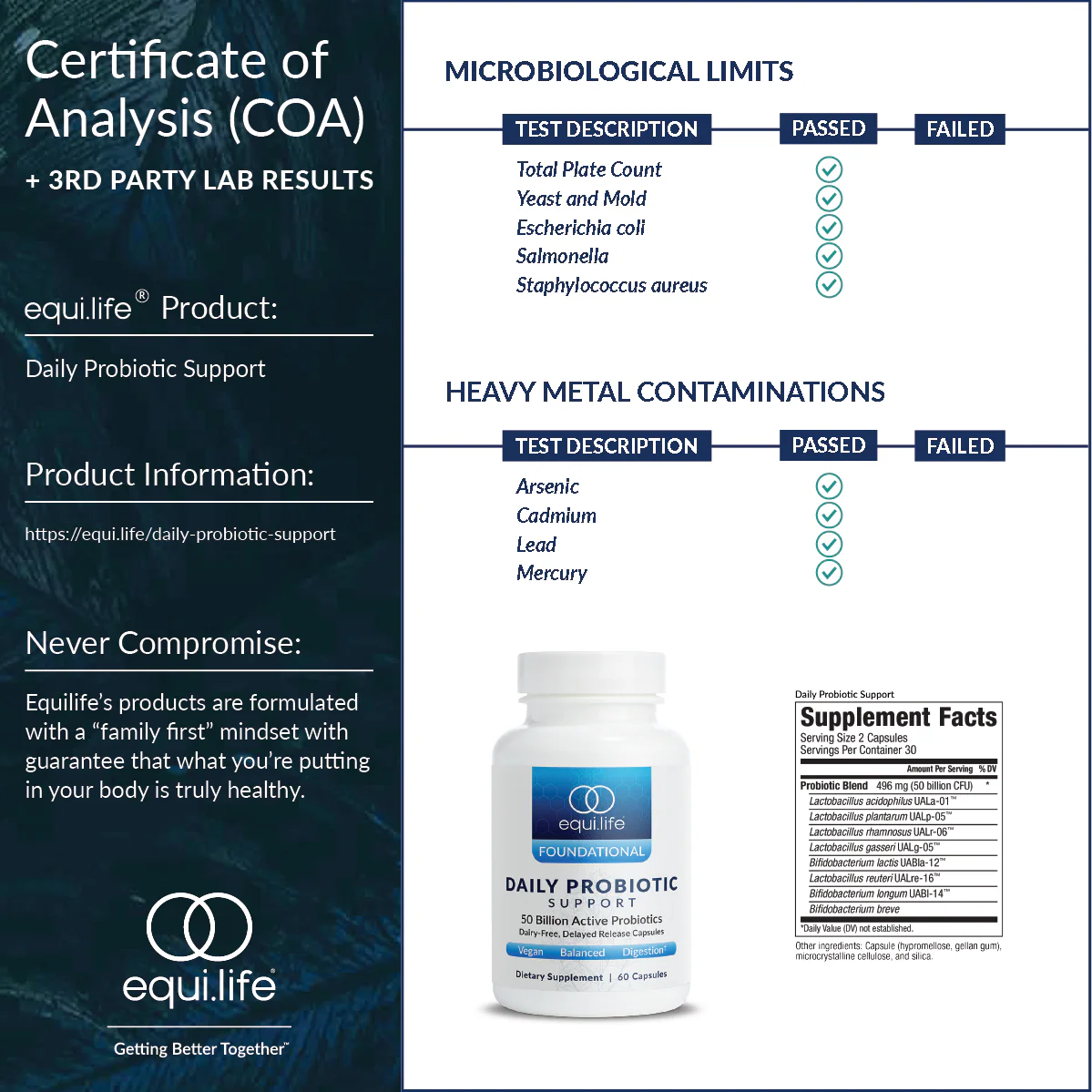 Daily Probiotic Support - Image 3