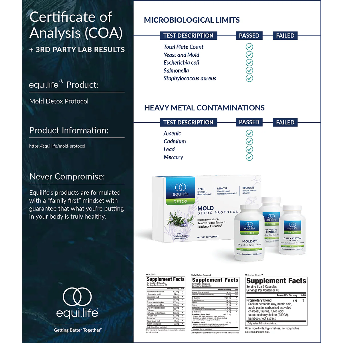Mold Protocol - Image 6